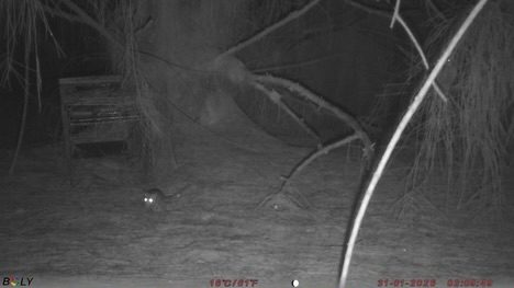 Instagram post from tru_control. This post is in position 1.