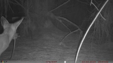 Instagram post from tru_control. This post is in position 2.