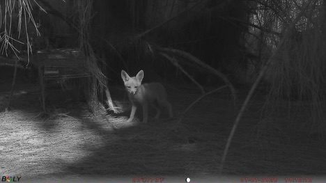 Instagram post from tru_control. This post is in position 2.